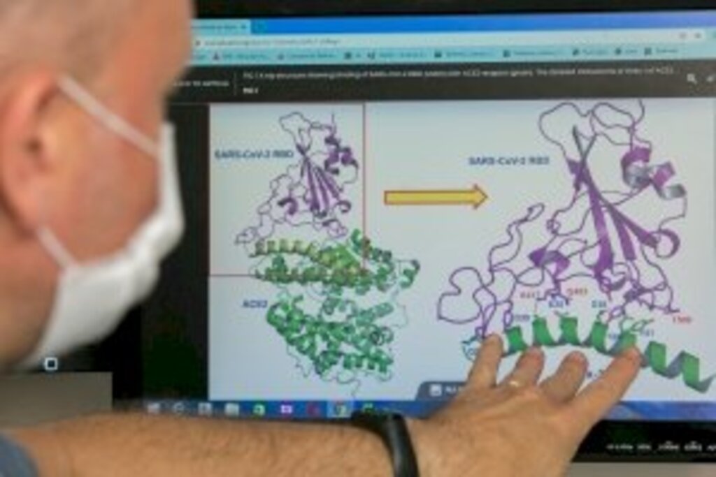 Pesquisadores catarinenses desenvolvem teste inédito para detectar Covid-19