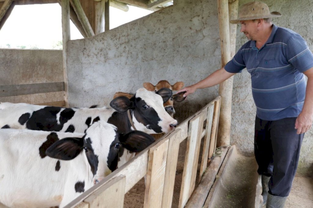 Serviço de inseminação aumenta a produtividade das criações bovinas em Joinville