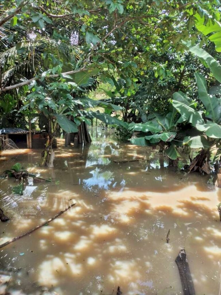 Chuvas desalojam 10 mil em Minas Gerais e deixam 6 mortos