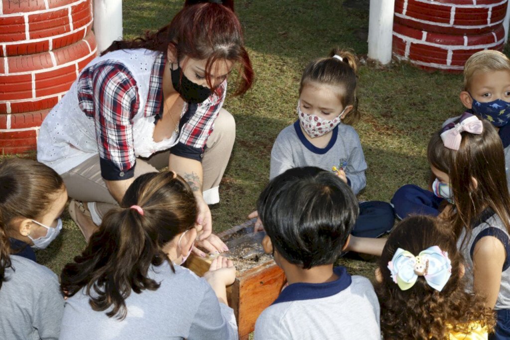 Joinville abre nesta quarta-feira matrículas para alunos novos de 4 e 5 anos em CEIs do município