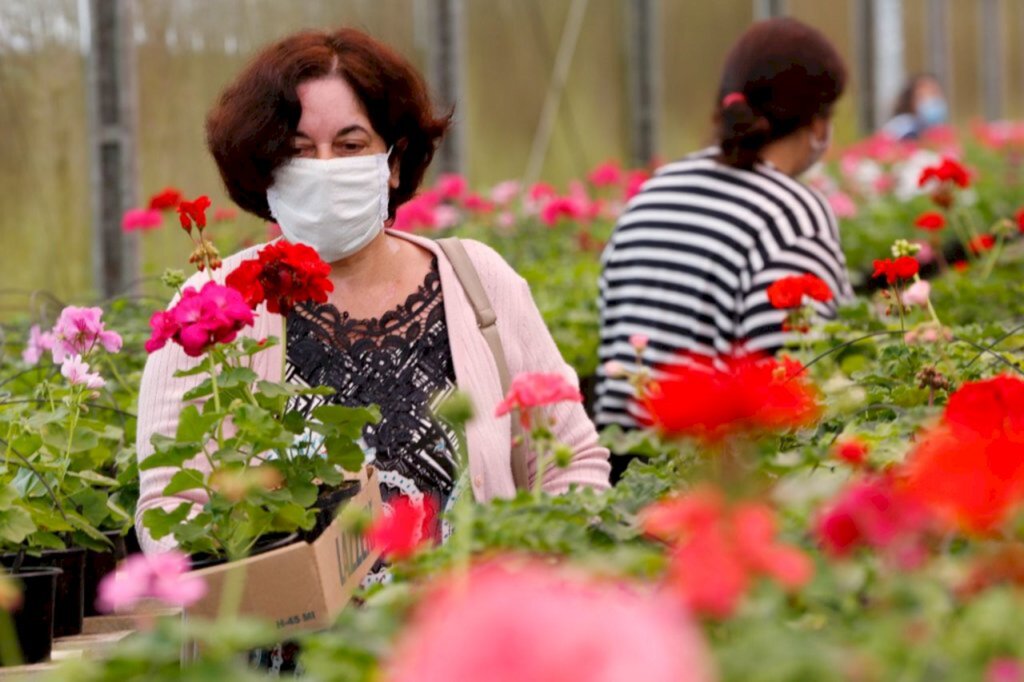 Prefeitura de Joinville lança Rota das Flores como opção de turismo rural