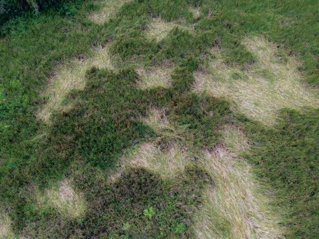 Terra - Estanhas marcas foram encontradas em Peruíbe