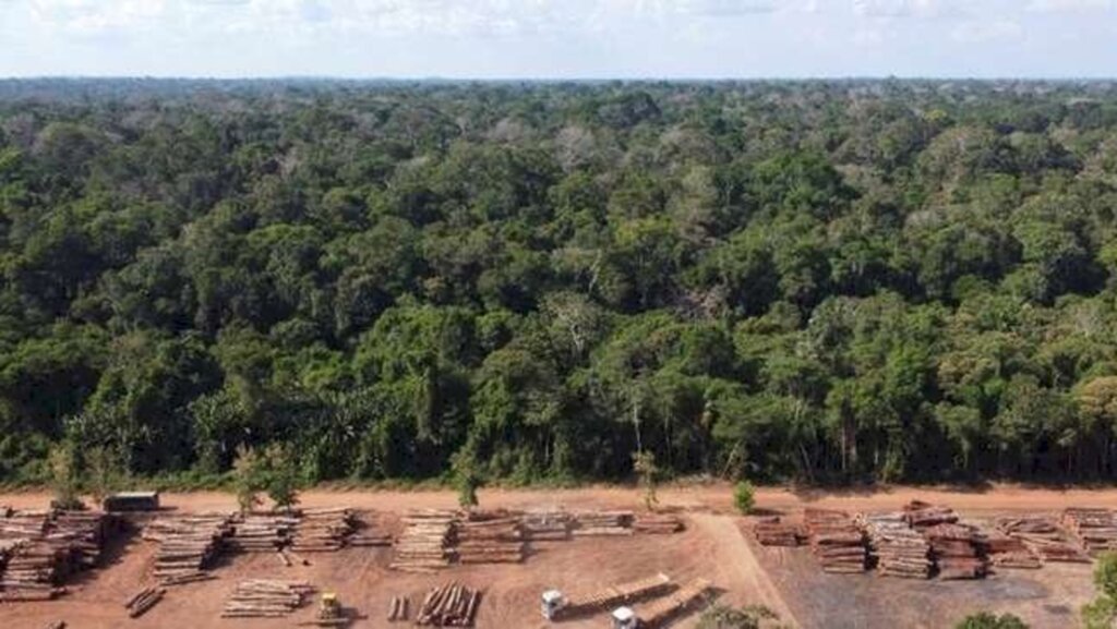 COP26: O que Brasil vai prometer e exigir na conferência sobre mudança climática