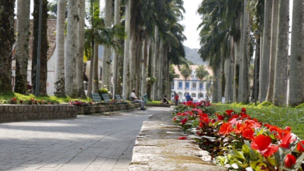 Prefeitura lança Concurso de Jardins 2021 e anuncia programação diversificada para o Novembro das Flores