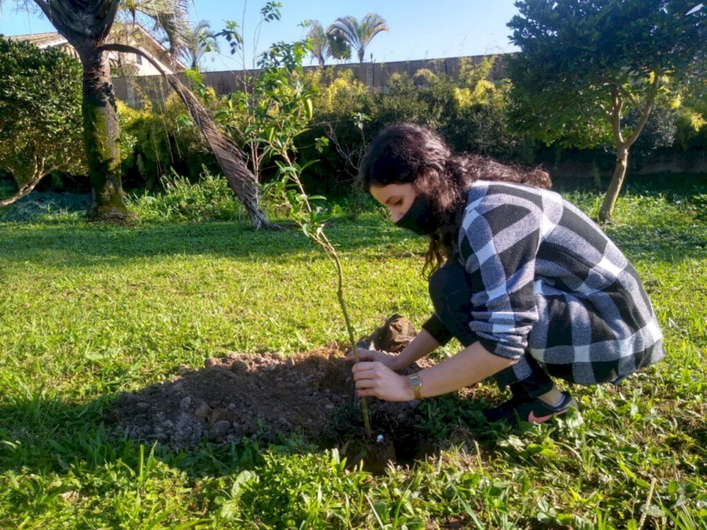 População pode participar de Consulta Pública do Plano de Arborização Urbana