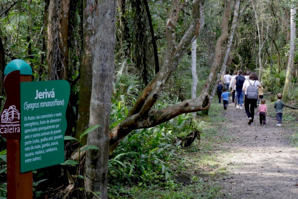 Trilha guiada no Parque Caieira possibilita conexão com a natureza