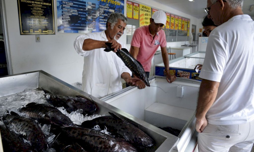 Doença 'urina preta' pode estar relacionada a consumo de frutos do mar