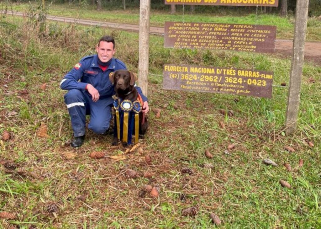 Bono é o novo cão certificado do Corpo de Bombeiros Militar de SC para atuar em buscas