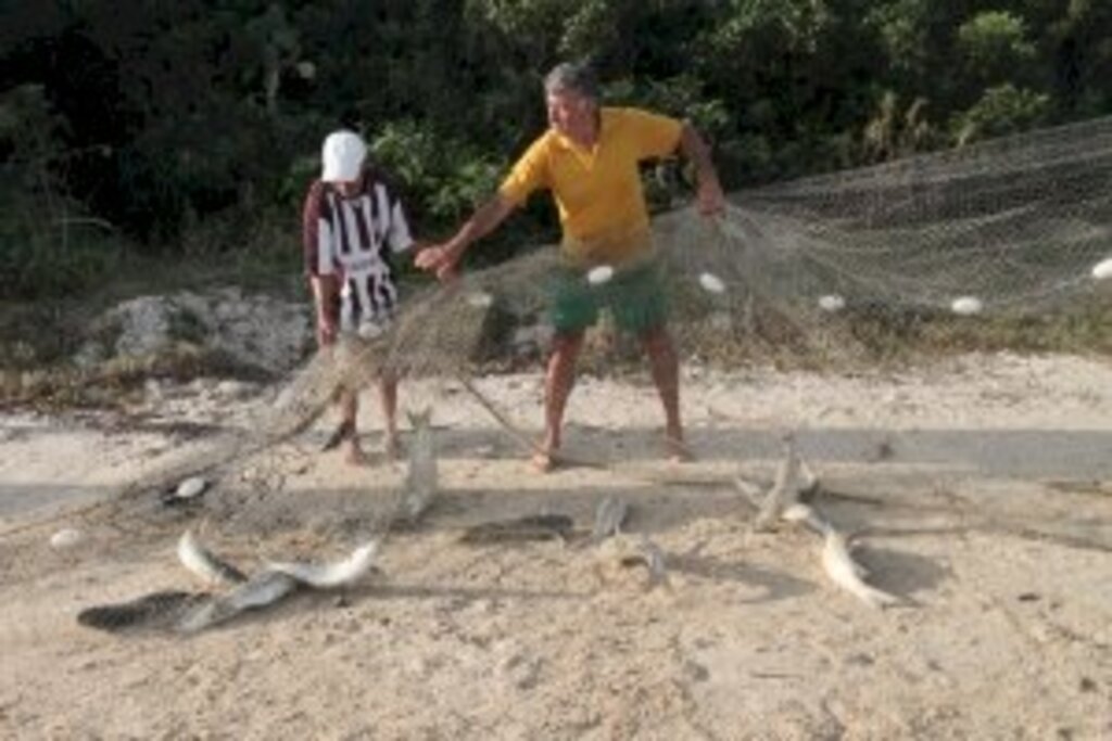 Eduardo G. de Oliveira/Agência AL - Uma das leis sancionadas permite aos restaurantes comprar pescado fresco diretamente do produtor