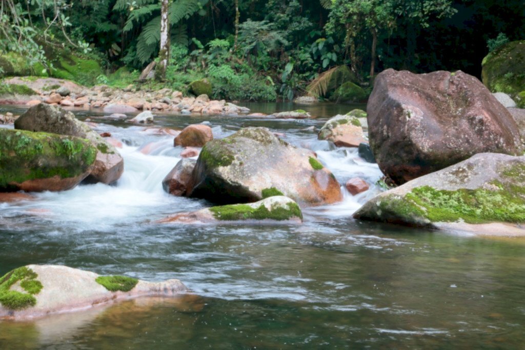 Águas de Joinville lança programa de recompensa financeira para produtores rurais