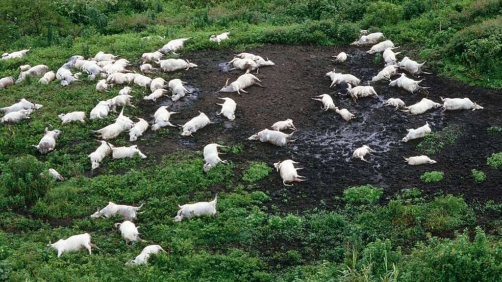 A misteriosa nuvem que matou milhares de pessoas e animais em Camarões