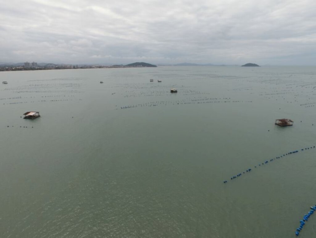 Bombeiros procuram tripulante de embarcação que naufragou em Penha