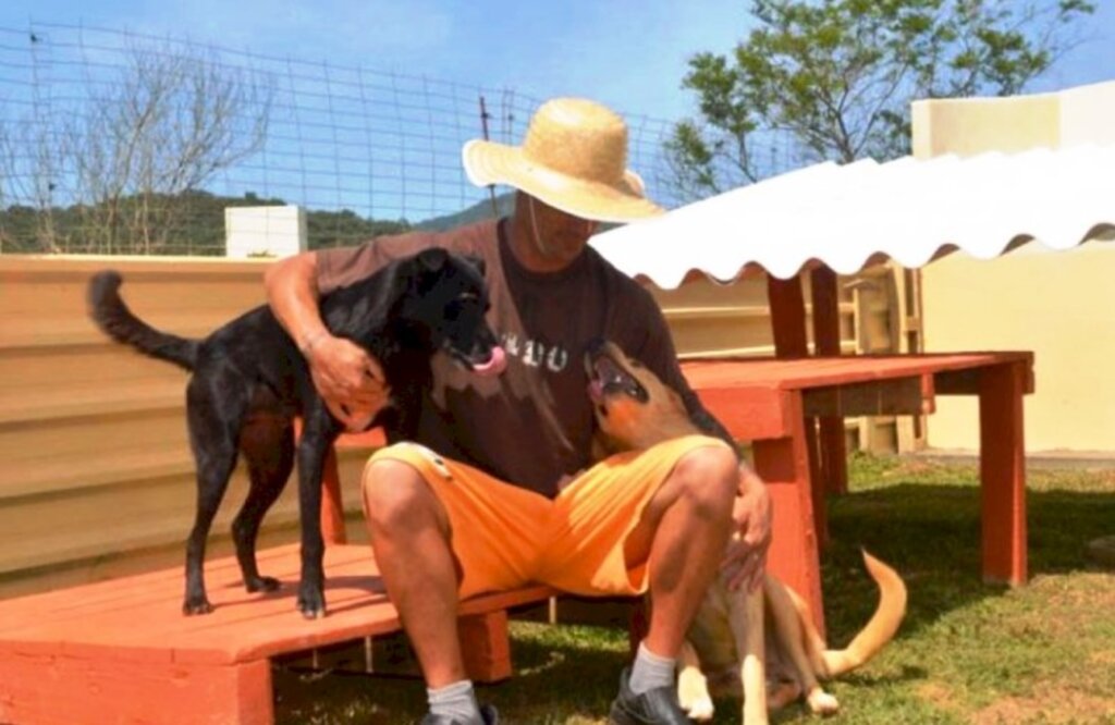 Penitenciária de Itajaí ganha canil onde presos podem cuidar de animais abandonados