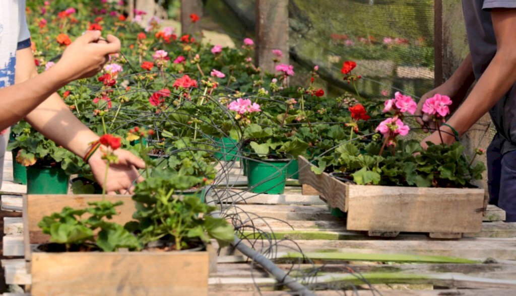 Prefeitura de Joinville oferece cursos gratuitos para produtores rurais