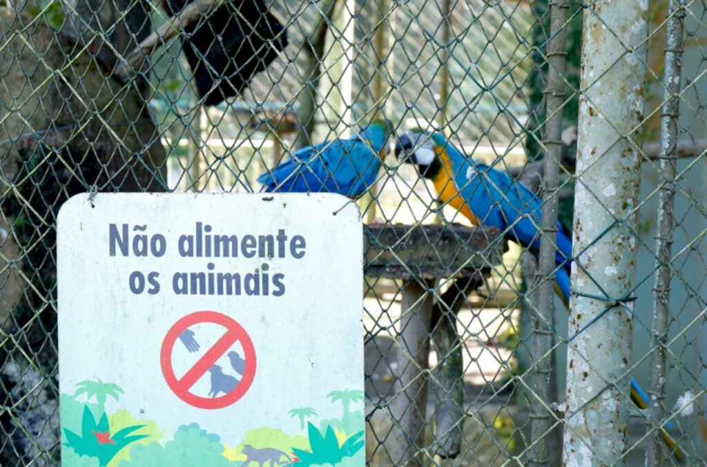 Zoobotânico de Joinville alerta visitantes sobre riscos de alimentar os animais