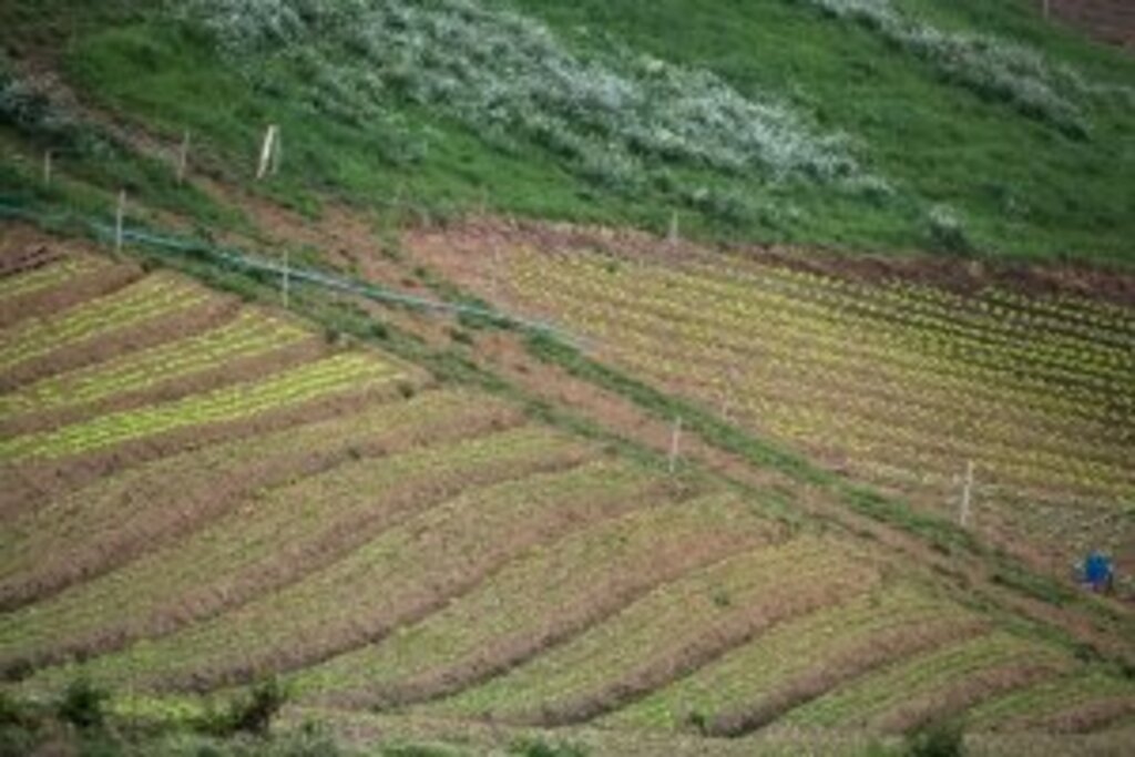 Arquivo/TVAL - Objetivo é oferecer ao homem do campo acesso à internet por meio de fibra ótica.