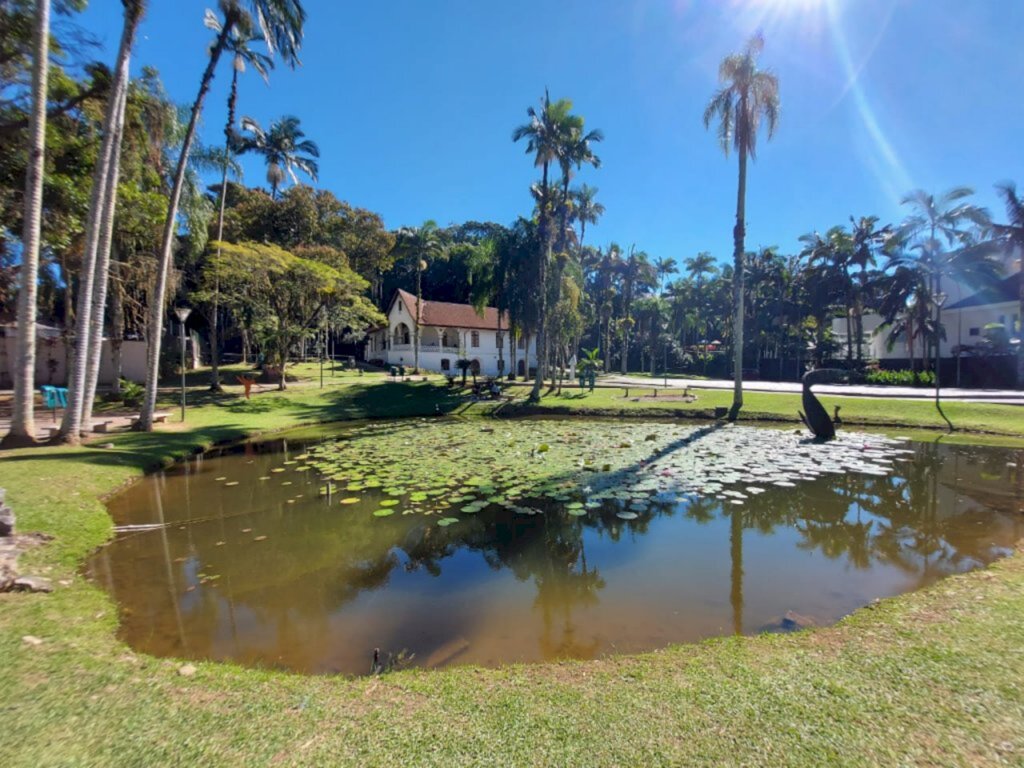 Jardim Criativo de Inverno é neste domingo, no MAJ