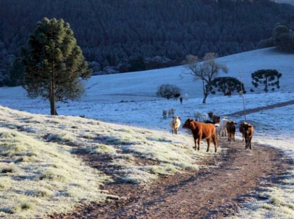 Diferença entre Neve, chuva congelada, geada ou sincelo ?