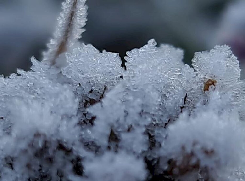 Nova e forte onda de frio no final do mês