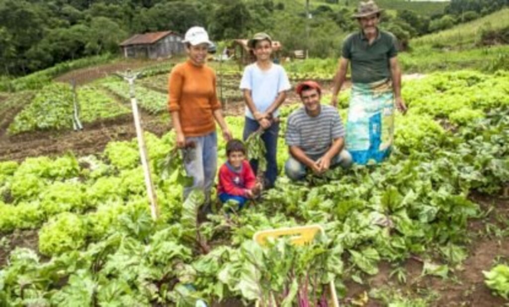 IFSC lança editais para comprar de alimentos da agricultura familiar para  Joinville, Caçador e Canoinhas