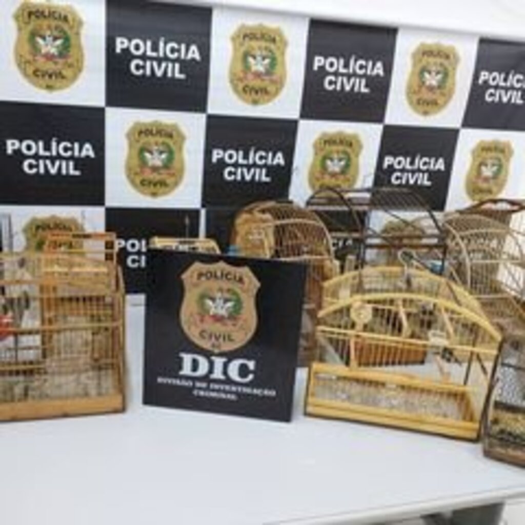 Polícia indicia suspeito de comércio ilegal de aves silvestres no Paranaguamirim