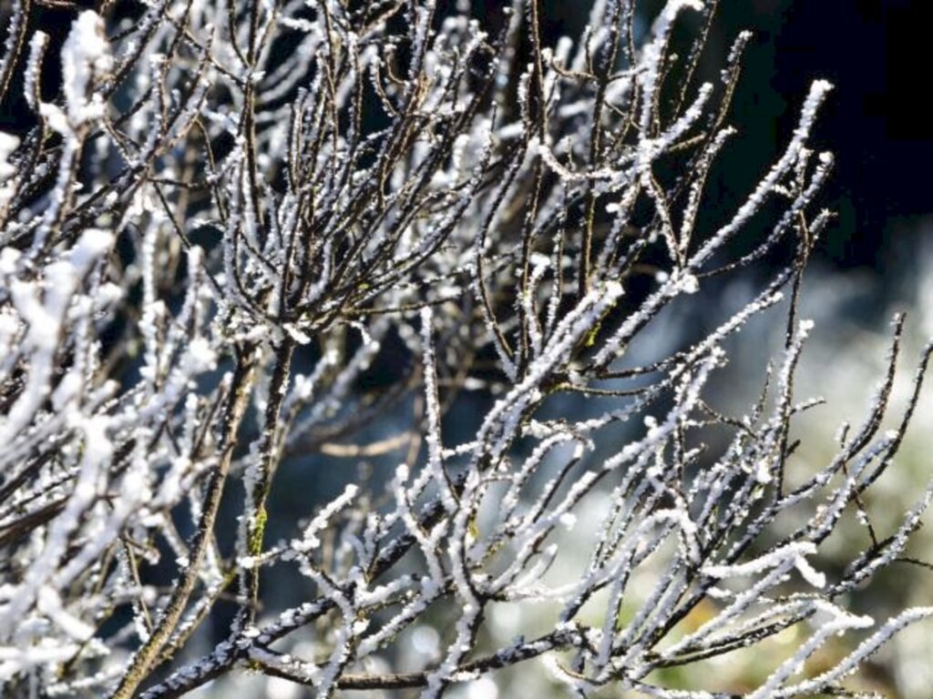 Inverno: previsão para SC é de temperaturas abaixo da média