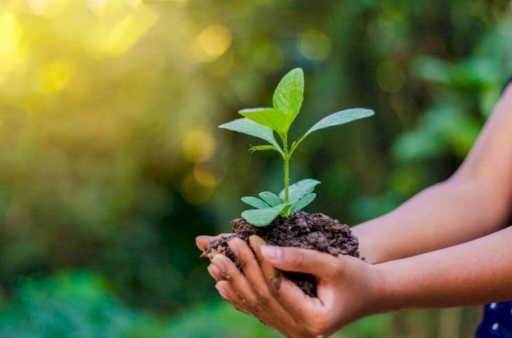 Tupy promove evento on-line para incentivar práticas em prol do meio ambiente