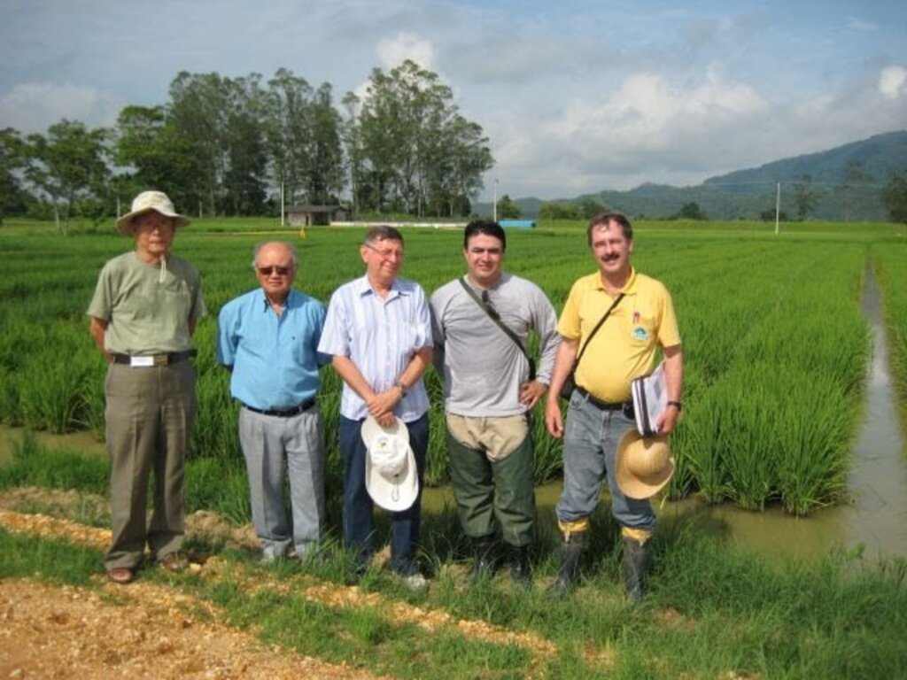  - Pesquisadores que atuam com mutação induzida: Akihiko (USP), Takazi (in memorian), Tulmann (USP), Alexander e Rubens Marschalek (ambos EEI/Epagri)