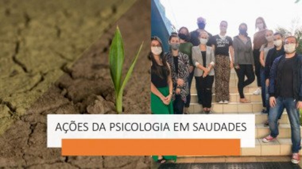 Divulgação - 