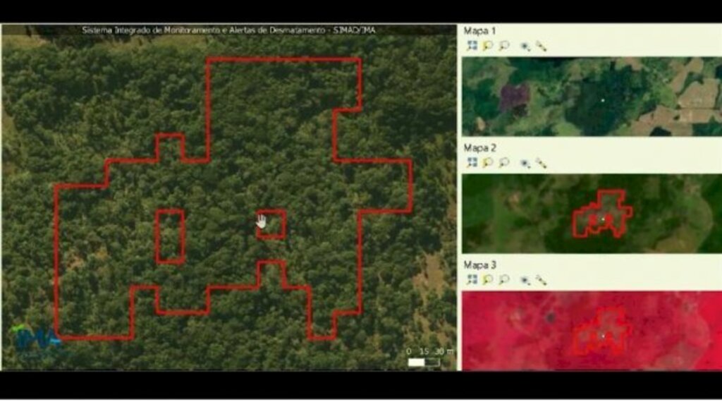 IMA lança sistema para monitorar desmatamento ilegal em SC