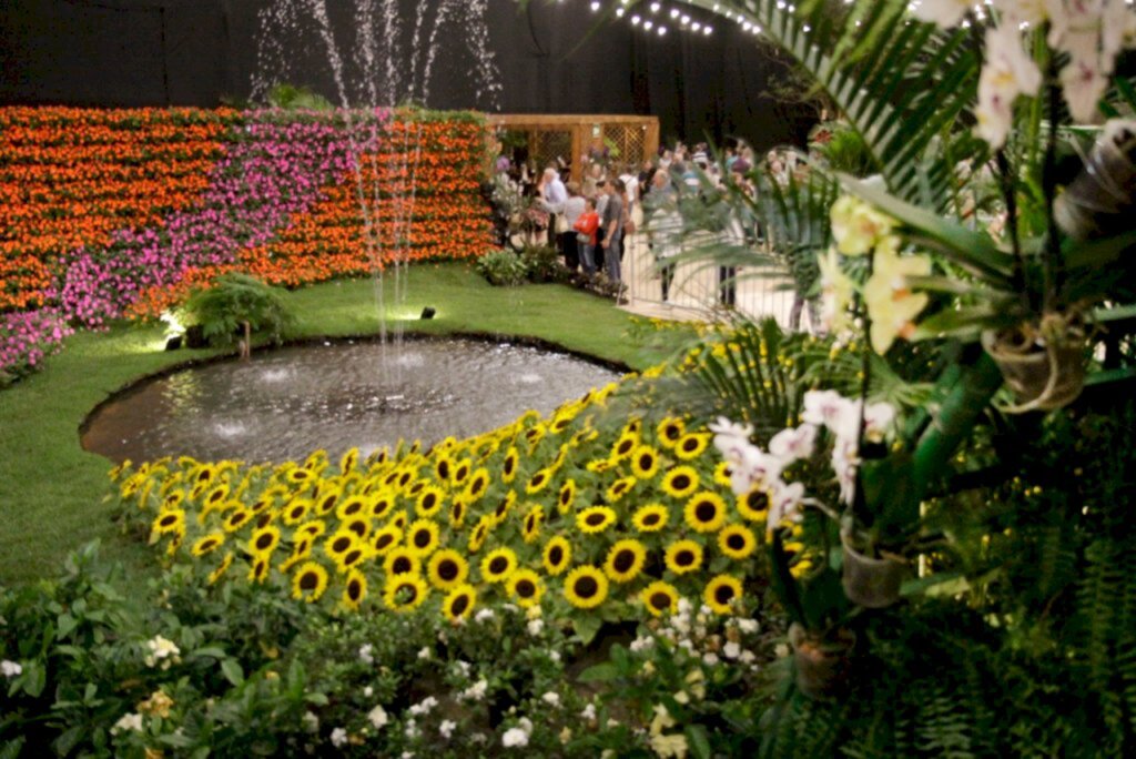 Festa das Flores de Joinville é adiada para 2022