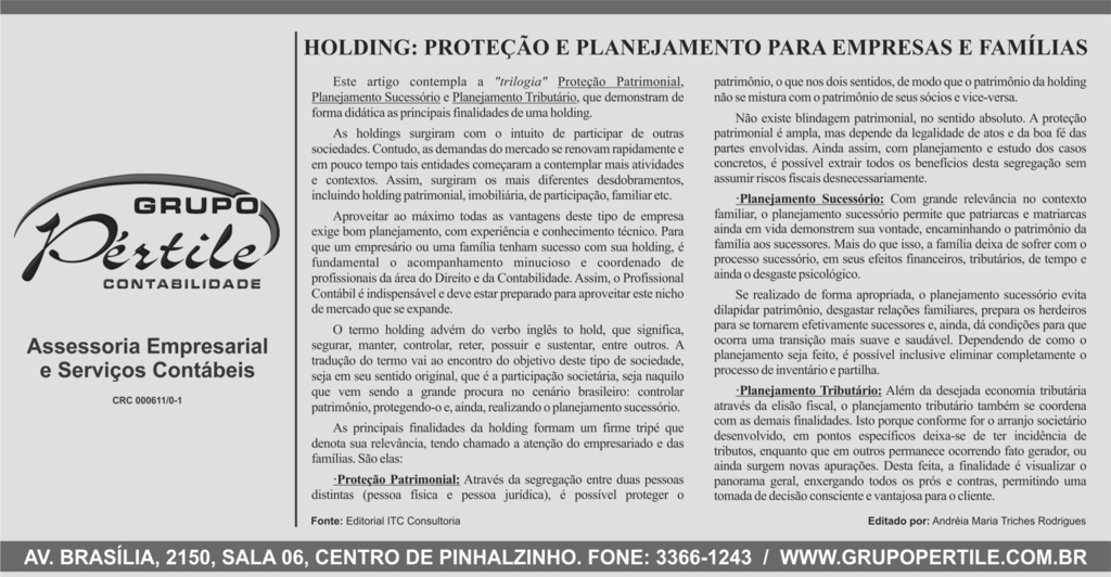 HOLDING: PROTEÇÃO E PLANEJAMENTO PARA EMPRESAS E FAMÍLIAS