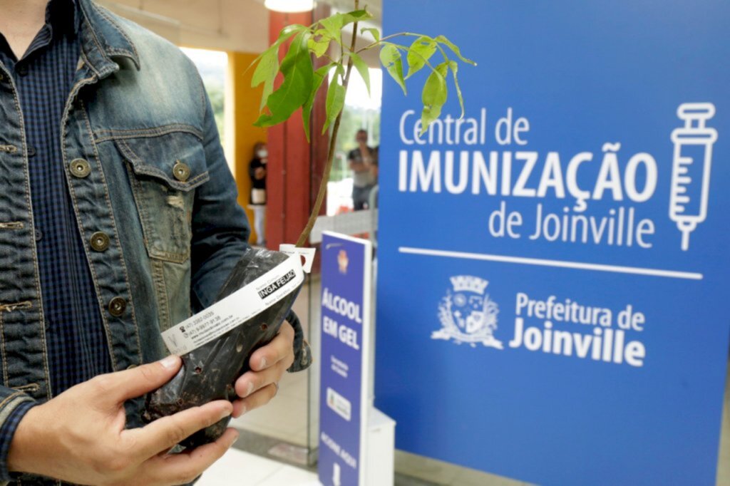 Mais de 7 mil mudas de árvores foram doadas na Central de Imunização de Joinville