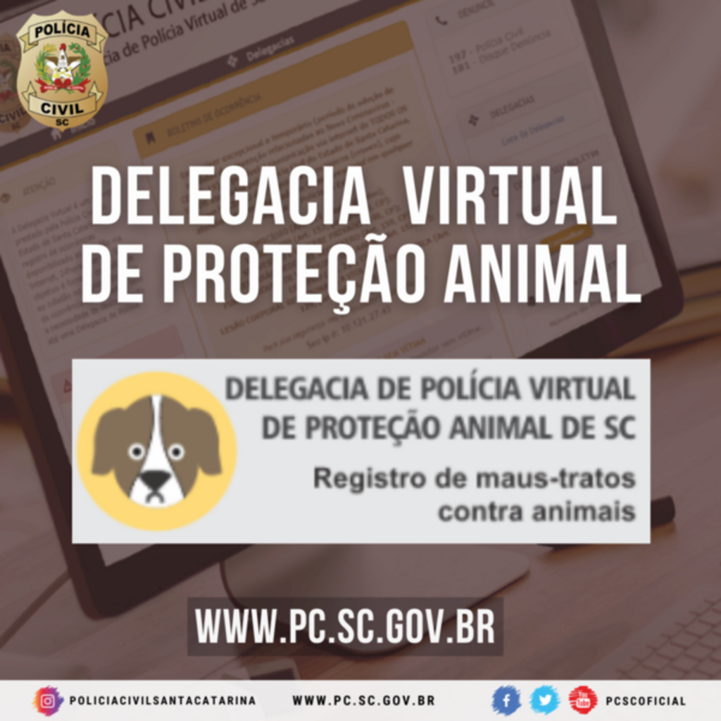 Divulgação - 