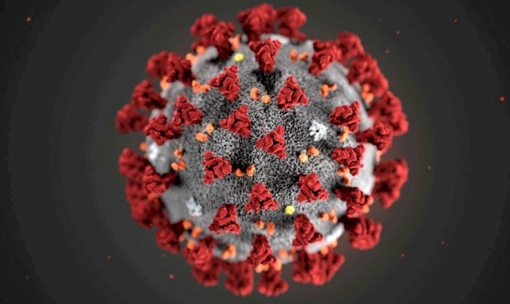 Cientistas criam testes de covid-19 com resultados em tempo recorde