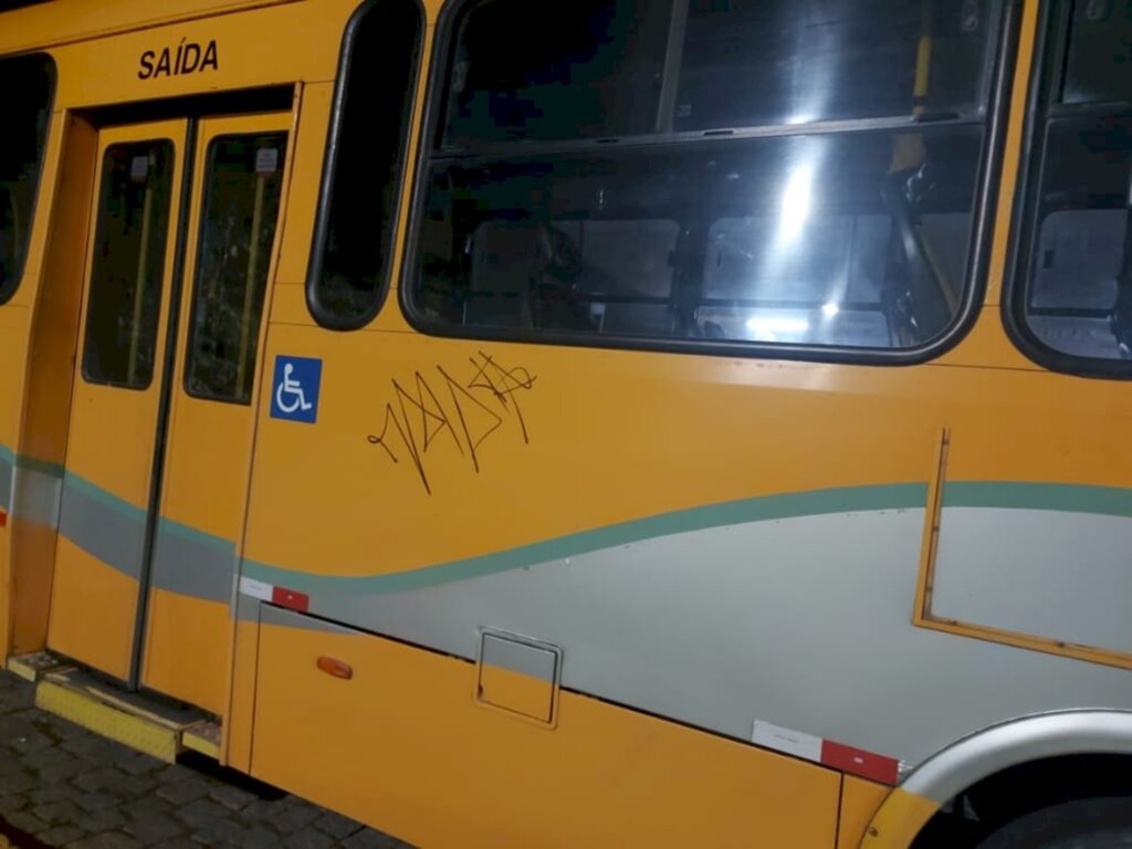 Divulgação - 