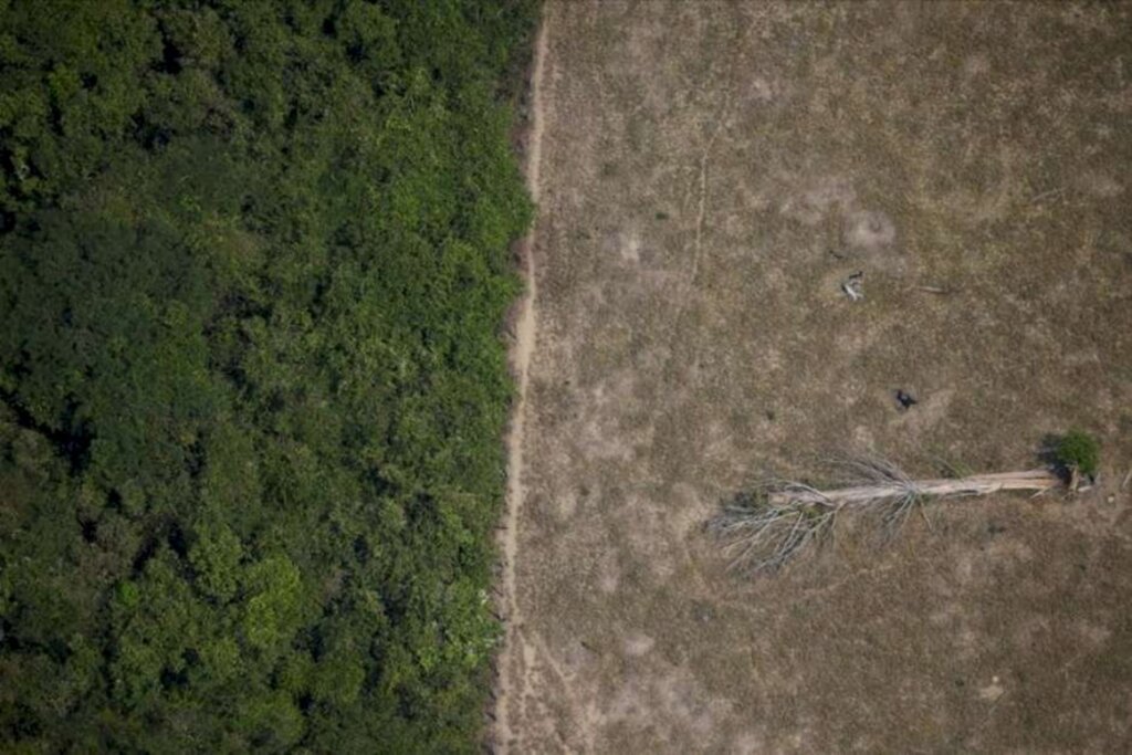 Alta de CO2 na Amazônia pode ter grande impacto nas chuvas