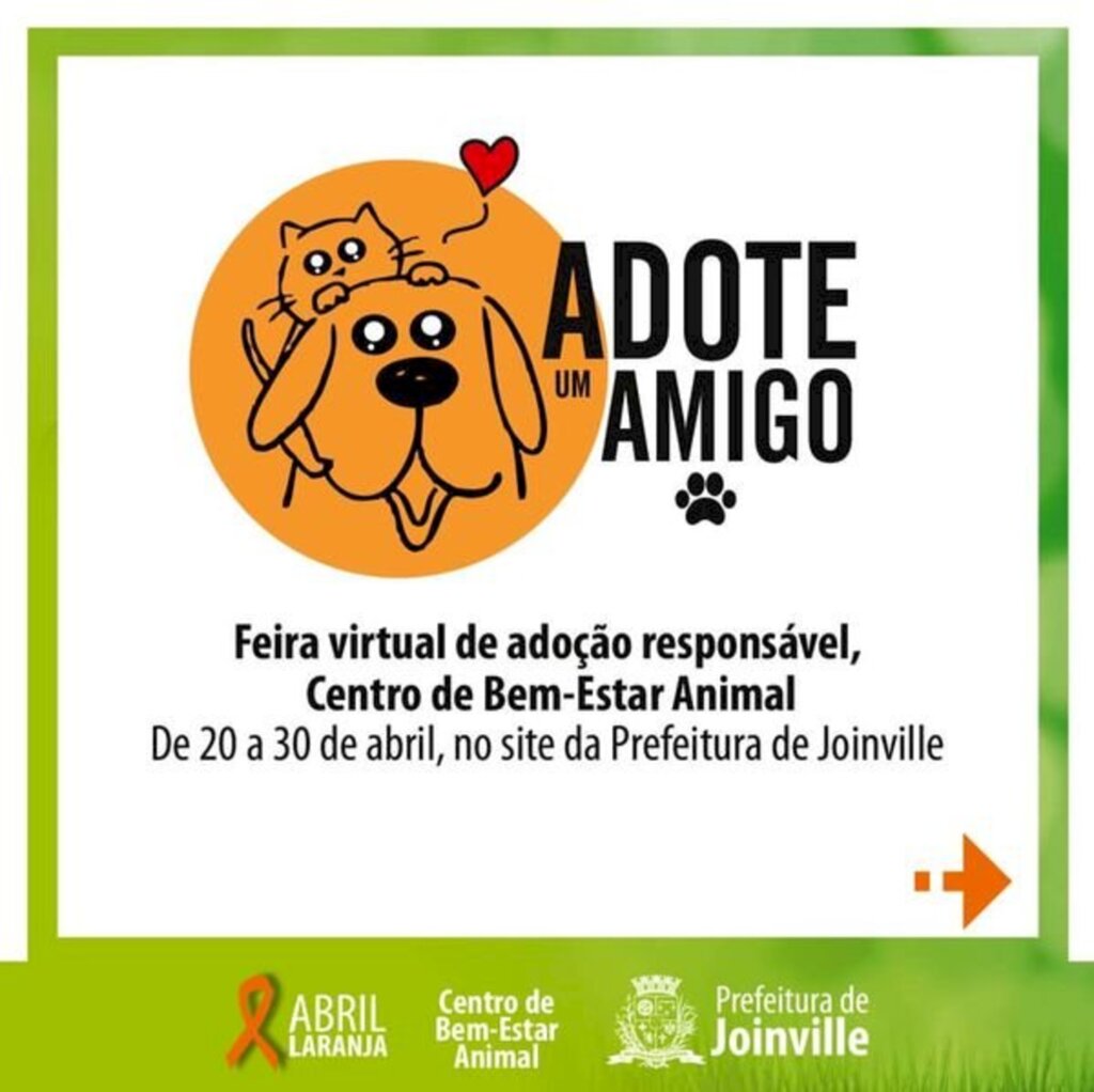 Centro de Bem-Estar Animal de Joinville realiza feira virtual de adoção