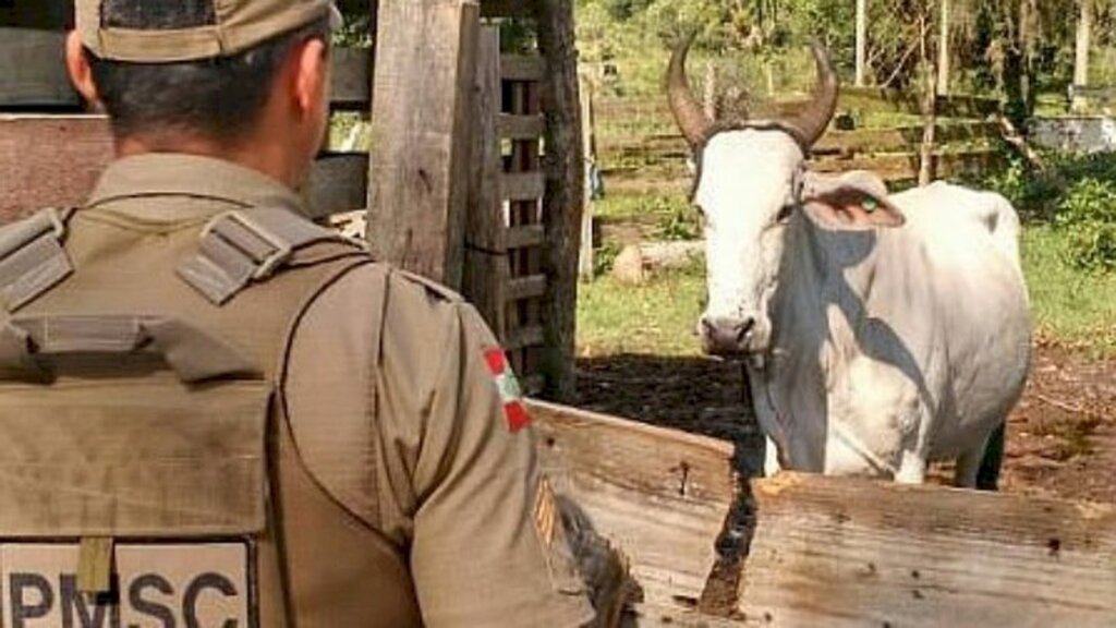 PMSC termina Operação Quaresma com baixo índice de ocorrências