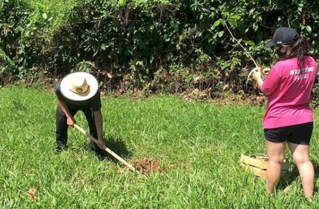 Unidos por uma Joinville mais verde!