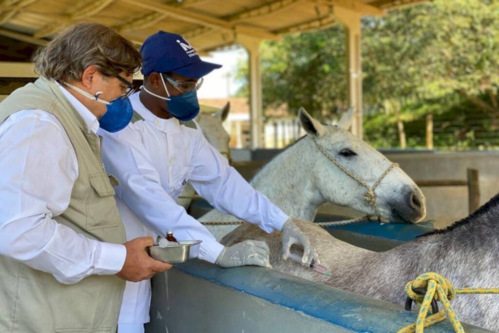 Butantan iniciará neste mês testes de soro anticovid em humanos