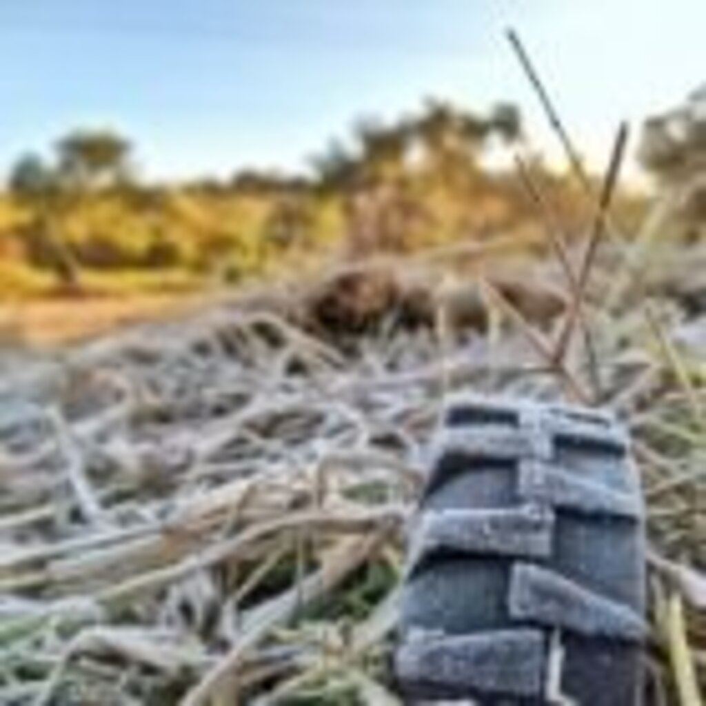 Após madrugada mais fria do ano, baixas temperaturas persistem no Sul