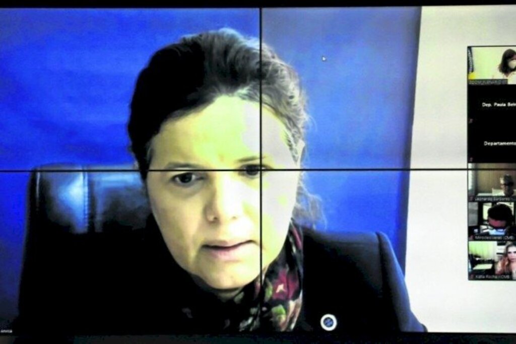 Câmara dos Deputado Cleia Viana - Meiruze Sousa Freitas - Diretora da Agência Nacional de Vigilância Sanitária (Anvisa)