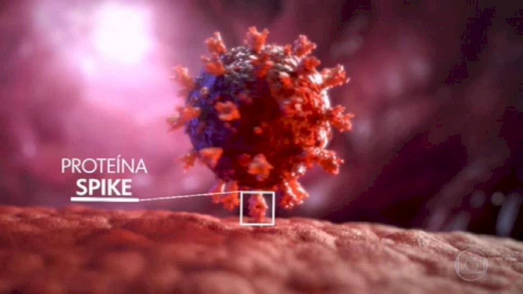 Cientistas da Fiocruz detectam nova variante do coronavírus