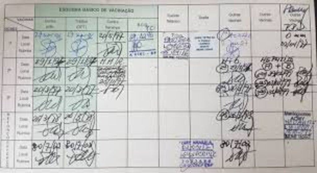 Ministério da Saúde - Carteira de vacinação registra imunizantes tomados ao longo da vida