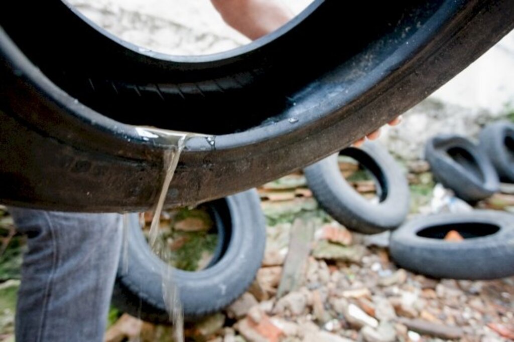 SC se prepara para a Semana de Mobilização contra o Aedes aegypti