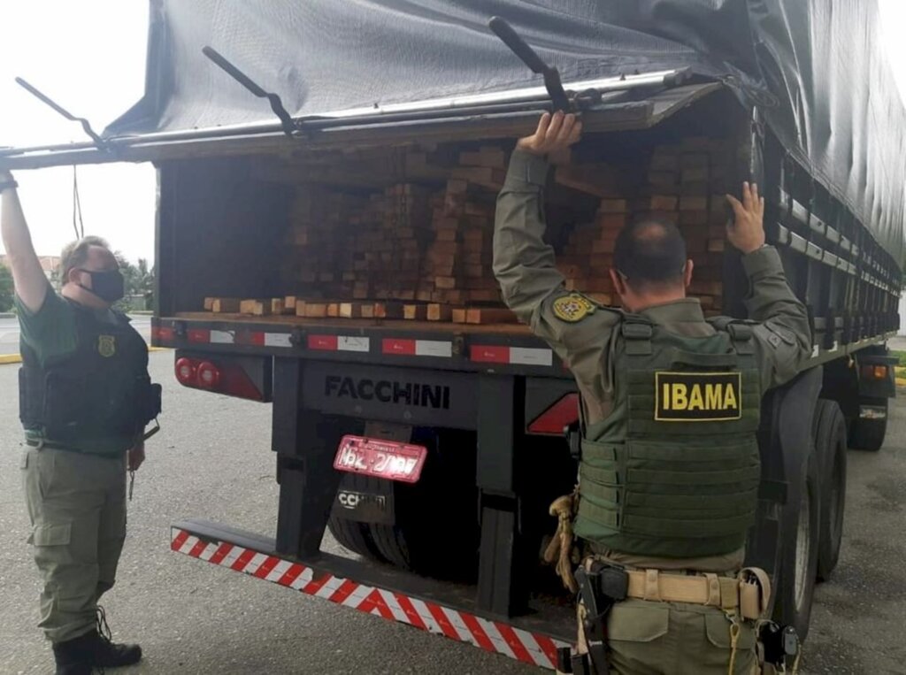 PRF e IBAMA flagram madeira transportada ilegalmente na BR 101 em Joinville