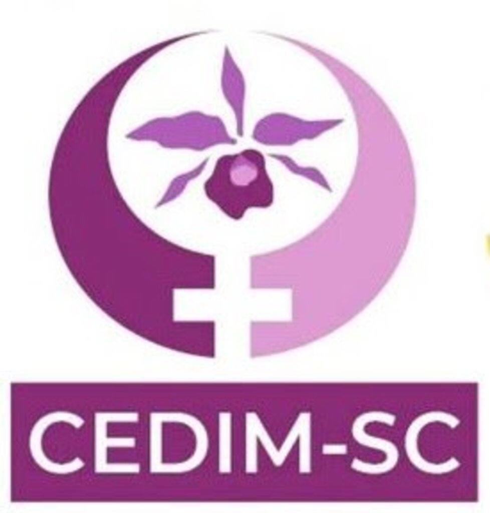 Conselho Estadual da Mulher abre seleção para sociedade civil