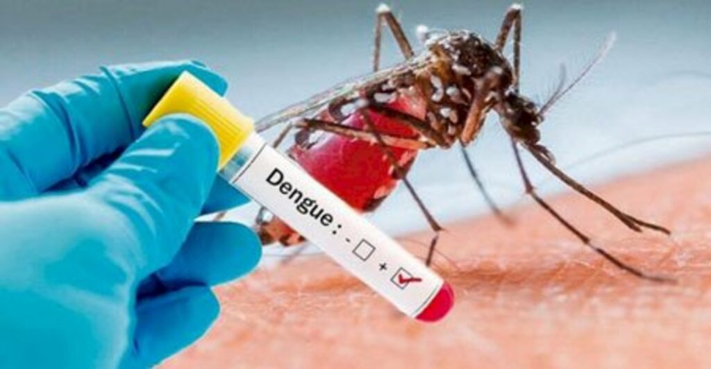 SAÚDE - Prefeitura de Joinville faz ação de limpeza e combate à dengue no Espinheiros
