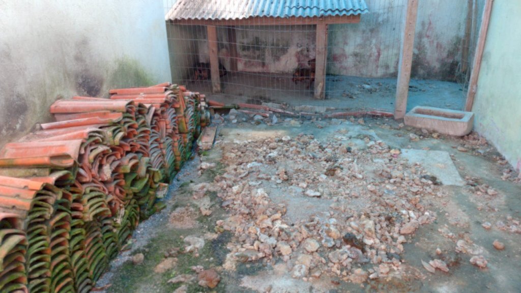 Boa Vista: Polícia resgata cães em situação de maus-tratos